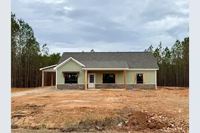 466 Mount Zion Church Road, Tallapoosa, GA 30176 - Photo 3