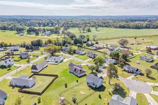 208 Silverthorn Way, Cedartown, GA 30125 - Photo 43