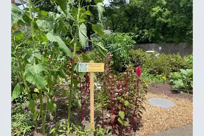 1031 State Street NW #205, Atlanta, GA 30318 - Photo 15