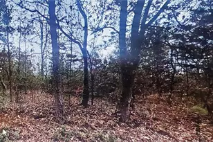 0 Sweetwater Church Rd, Dawsonville, GA 30534 - Photo 1