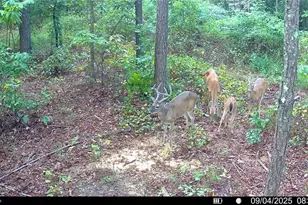 850 Land Rd, Canton, GA 30114 - Photo 73