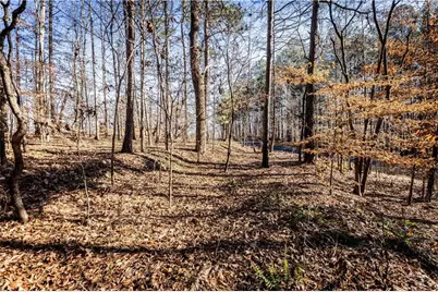 1001 Overlook Terrace, Ball Ground, GA 30107 - Photo 9