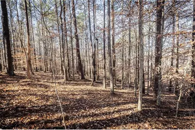 1001 Overlook Terrace, Ball Ground, GA 30107 - Photo 3