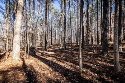 1001 Overlook Terrace, Ball Ground, GA 30107 - Photo 17