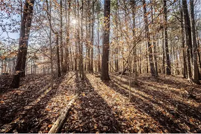 1001 Overlook Terrace, Ball Ground, GA 30107 - Photo 5