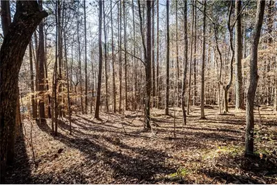 1001 Overlook Terrace, Ball Ground, GA 30107 - Photo 11