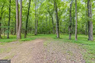 135 Ashley Creek, Newnan, GA 30263 - Photo 37