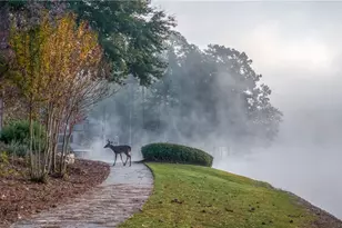 111 Teal Ct, Roswell, GA 30076 - Photo 31