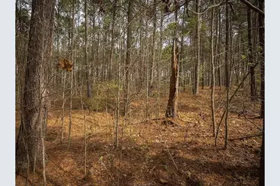 1081 Big Water Point, Greensboro, GA 30642 - Photo 3