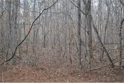 0 S Old Hwy 5 Road S, Talking Rock, GA 30175 - Photo 5