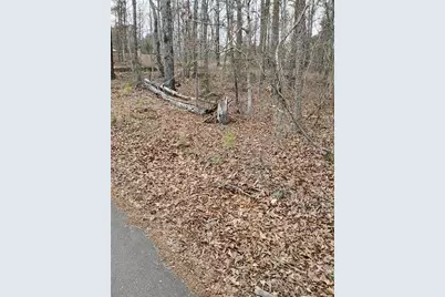 0 Willie West Road, Canton, GA 30114 - Photo 3