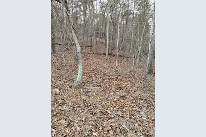 0 Willie West Road, Canton, GA 30114 - Photo 3