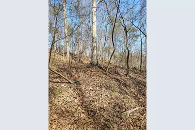 0000 Braswell Road, Rockmart, GA 30153 - Photo 5