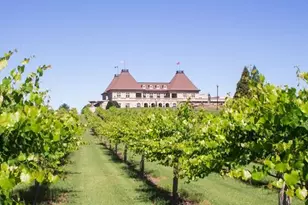 2279 Weeping Oak Dr, Braselton, GA 30517 - Photo 123