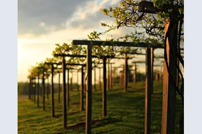 2279 Weeping Oak Drive, Braselton, GA 30517 - Photo 127