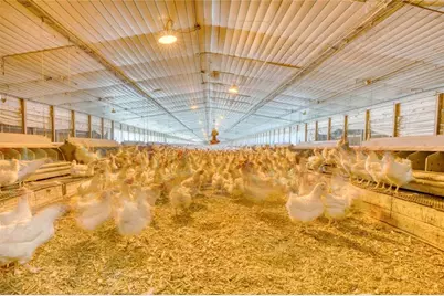 441 Weaver Road, Moultrie, GA 31768 - Photo 61