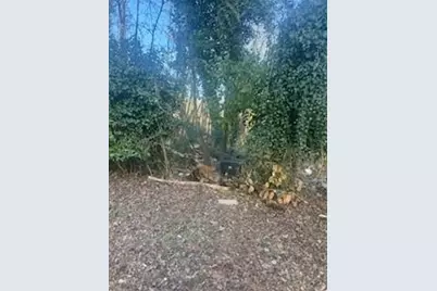 224 SW Dollar Mill Road SW, Atlanta, GA 30331 - Photo 9