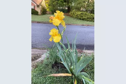 366 Silverthorn Drive NW, Marietta, GA 30064 - Photo 91