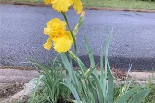 366 Silverthorn Dr NW, Marietta, GA 30064 - Photo 89