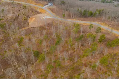 Lt 141 Twisted Oak Road, Talking Rock, GA 30175 - Photo 9