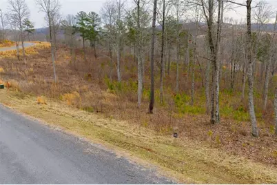 Lt 141 Twisted Oak Road, Talking Rock, GA 30175 - Photo 13