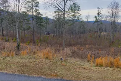 Lt 142 Twisted Oak Road, Talking Rock, GA 30175 - Photo 11