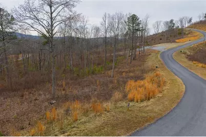 Lt 142 Twisted Oak Road, Talking Rock, GA 30175 - Photo 3