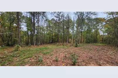 18 E Mourning Dove Court, Monticello, GA 31064 - Photo 11