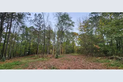 18 E Mourning Dove Court, Monticello, GA 31064 - Photo 1