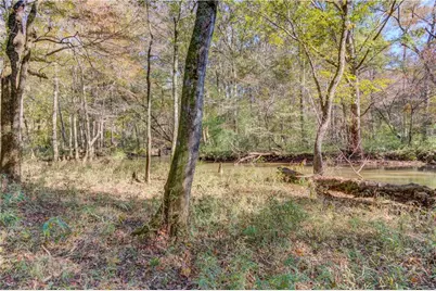 1520 Rivermist Drive, Monroe, GA 30655 - Photo 49