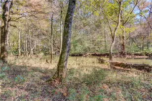 1520 Rivermist Dr, Monroe, GA 30655 - Photo 49