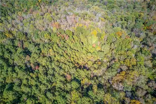 1520 Rivermist Dr, Monroe, GA 30655 - Photo 51