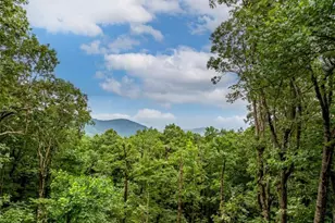 31 High Cliff Rd, Jasper, GA 30143 - Photo 45