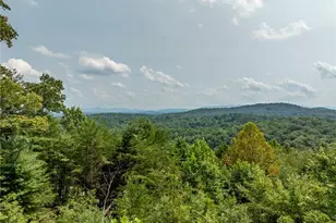 2191 Old Hwy 5, Blue Ridge, GA 30513 - Photo 51