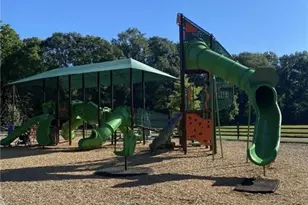 8555 Scenic Ridge Wy, Ball Ground, GA 30107 - Photo 71