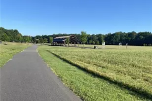 8555 Scenic Ridge Wy, Ball Ground, GA 30107 - Photo 73