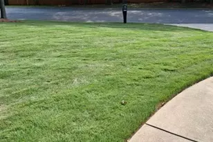 915 Charleston Ct, Gainesville, GA 30501 - Photo 53