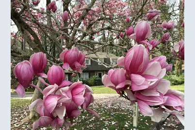 3675 Toxaway Court, Atlanta, GA 30341 - Photo 1