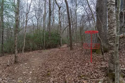 561 Cartecay Trace, Ellijay, GA 30536 - Photo 43