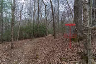 561 Cartecay Trce, Ellijay, GA 30536 - Photo 43