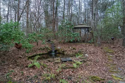 561 Cartecay Trace, Ellijay, GA 30536 - Photo 41