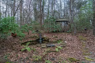 561 Cartecay Trce, Ellijay, GA 30536 - Photo 41