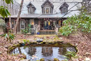 561 Cartecay Trce, Ellijay, GA 30536 - Photo 55