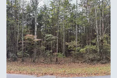 00 Cagle Road, Fairmount, GA 30139 - Photo 5