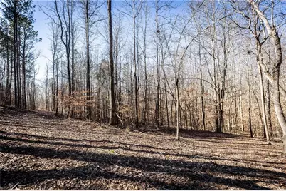 391 Marvin Land Lane, Canton, GA 30115 - Photo 5