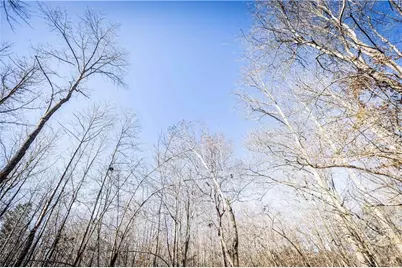 391 Marvin Land Lane, Canton, GA 30115 - Photo 3