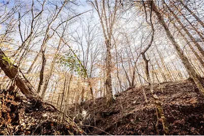 391 Marvin Land Lane, Canton, GA 30115 - Photo 11