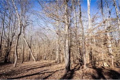 391 Marvin Land Lane, Canton, GA 30115 - Photo 1