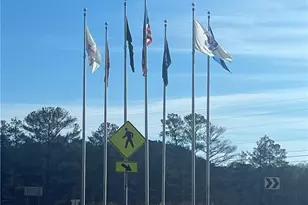 229 Legacy Downs Dr, Canton, GA 30118 - Photo 35