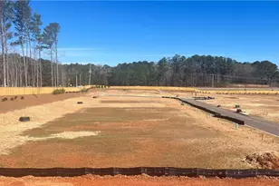 229 Legacy Downs Dr, Canton, GA 30118 - Photo 37